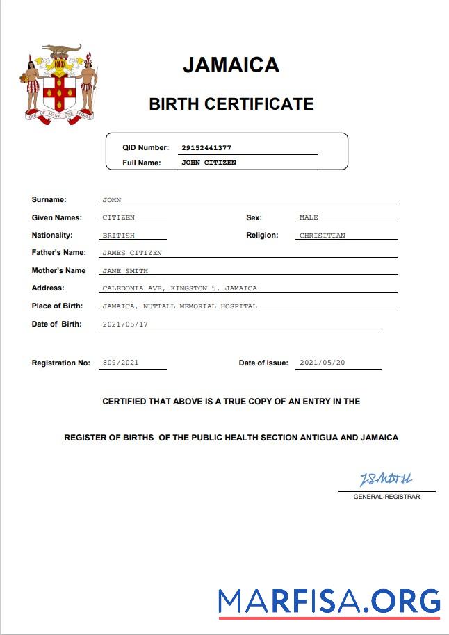 Blank Jamaica vital record birth certificate Word and PDF template